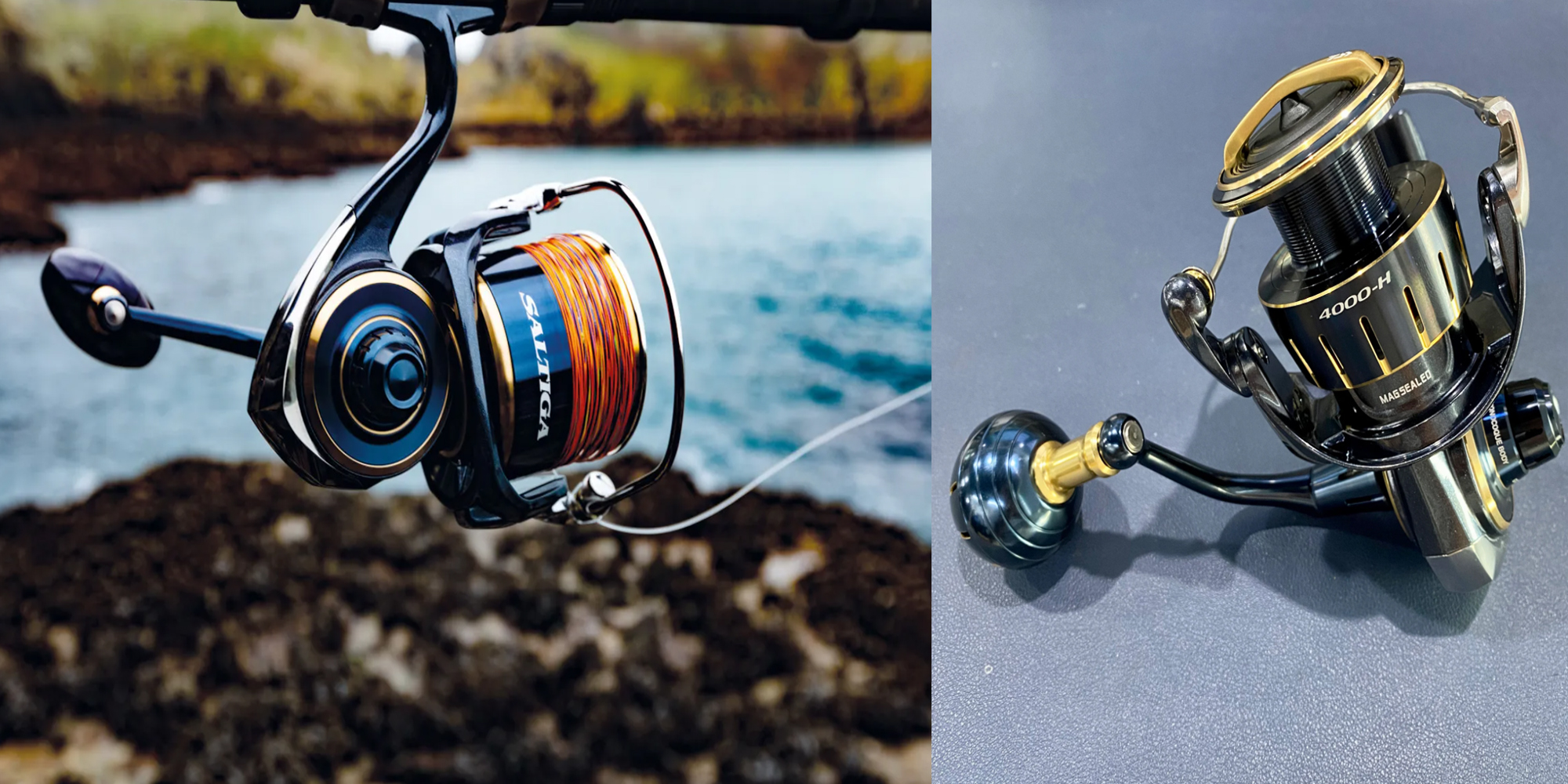 Daiwa Sale Store -Daiwa Sale Store 7