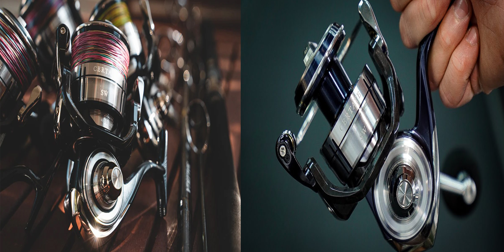 Daiwa Sale Store -Daiwa Sale Store 8