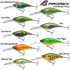 Daiwa Prorex Crankbait Dr 80 Mm 24g 80 Mm (24 G) Live Rainbow Trout