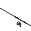 Daiwa BG Saltwater Spinning Combos