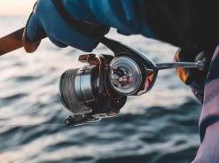 Daiwa Certate SW Spinning Reels -Daiwa Sale Store daiwa certate sw spinning reels 18073.1651409087