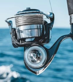 Daiwa Certate SW Spinning Reels -Daiwa Sale Store daiwa certate sw spinning reels 63585.1651409087