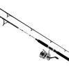 Daiwa D-Wave DWB Saltwater Spinning Combos -Daiwa Sale Store daiwa d wave dwb saltwater spinning combos 26363.1651075331.386.513