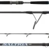 Daiwa Saltiga Jigging Spinning Rods 1 Daiwa Saltiga Jigging Spinning Rods -Daiwa Sale Store daiwa saltiga jigging spinning rods 24309.1651415774