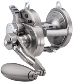 Daiwa Saltiga LD Lever Drag Conventional Reels -Daiwa Sale Store daiwa saltiga ld lever drag conventional reels 55579.1651356965