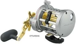 Daiwa Saltist Levelwind A Reels -Daiwa Sale Store daiwa saltist levelwind a reels 38721.1650807939