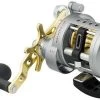 Daiwa Saltist Levelwind A Reels -Daiwa Sale Store daiwa saltist levelwind a reels 55810.1650807938