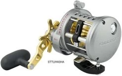 Daiwa Saltist Levelwind A Reels -Daiwa Sale Store daiwa saltist levelwind a reels 78666.1650807939
