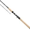 Daiwa Saltist Northeast Inshore Casting Rods -Daiwa Sale Store daiwa saltist northeast inshore casting rod 86297.1650807941.386.513