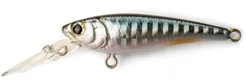 Daiwa SC Shad Jerkbait 12 Daiwa SC Shad Jerkbait -Daiwa Sale Store daiwa sc shad jerkbait 48587.1651361458