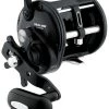 Daiwa Sealine SLW Levelwind Reels -Daiwa Sale Store daiwa sealine slw levelwind reels 89967.1650807995